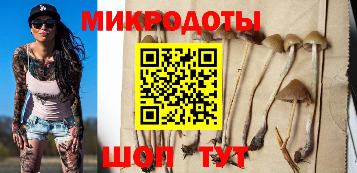 Псилоцибиновые грибы ЛСД Нефтекумск